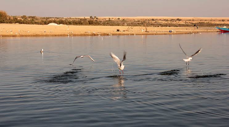 Lake Qarun